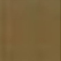 Bashful Blonde Pigment - Shop Cameo College